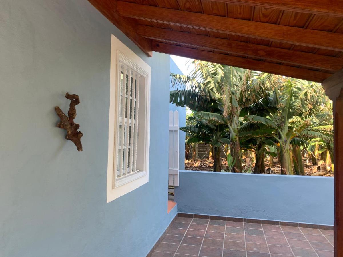 Rooftop Casa El Banco El Charco  外观 照片