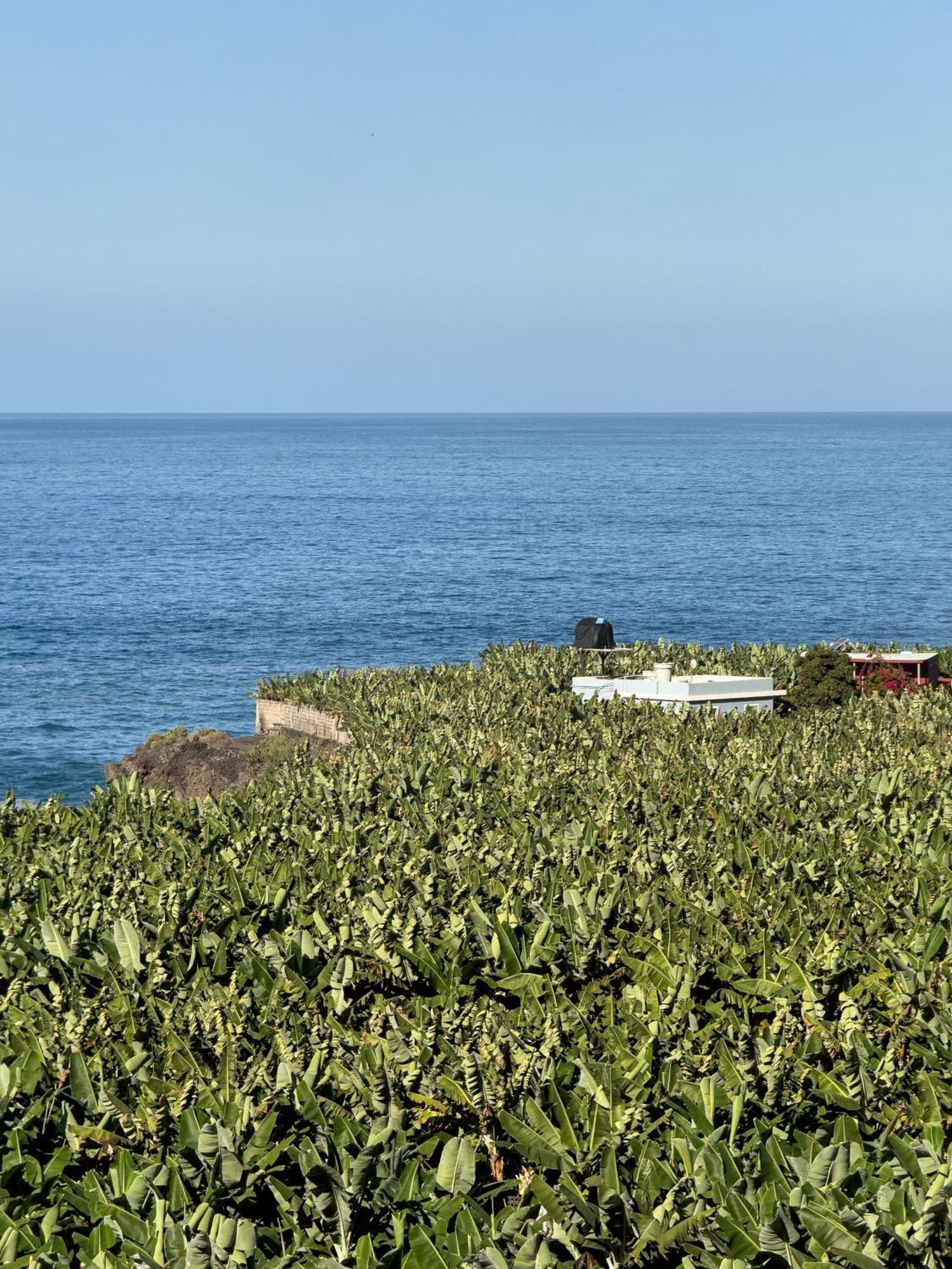 Rooftop Casa El Banco El Charco  外观 照片